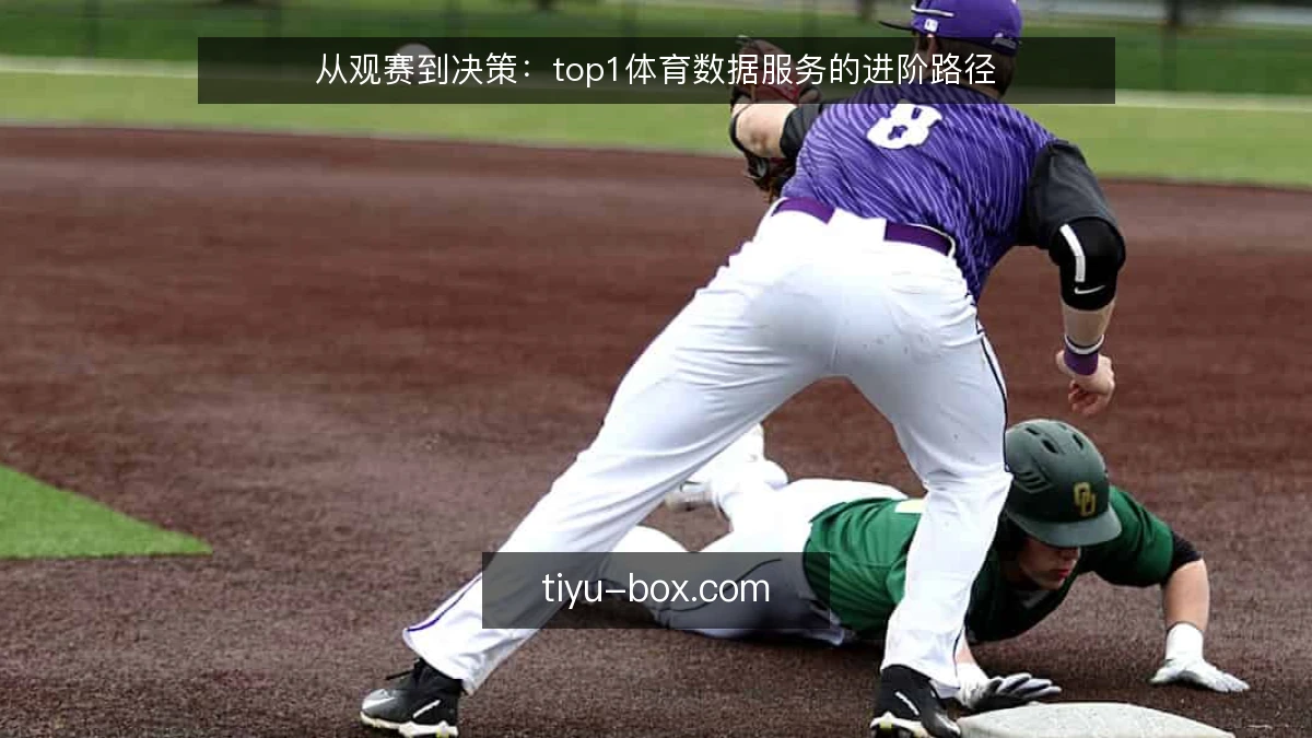 从观赛到决策：top1体育数据服务的进阶路径
