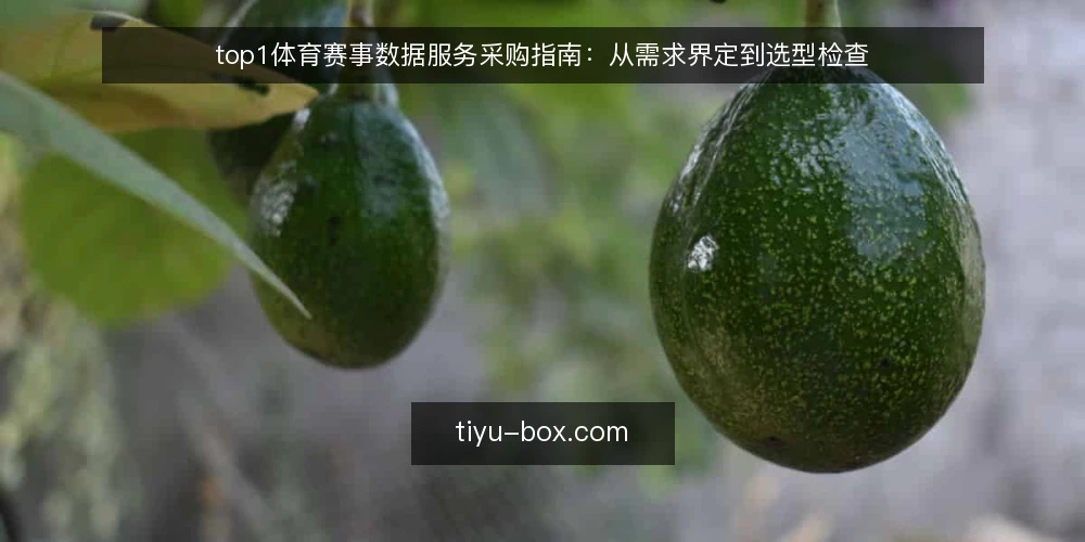 top1体育赛事数据服务采购指南:从需求界定到选型检查 — 先界定你的数据需求边界 配图